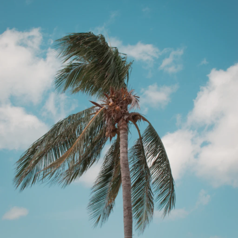Cancún